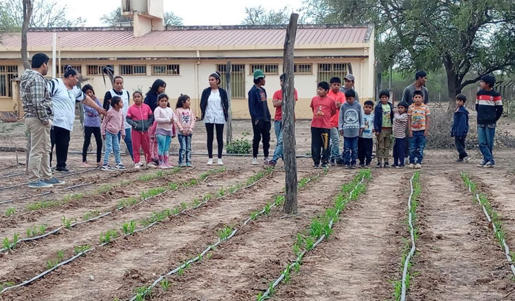 Fotografía: Avanza el cultivo en 45 huertas escolares de Rivadavia, Orán y San Martín